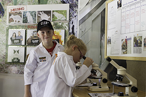 Children looking through microscopes at Zoo HQ at Perth Zoo