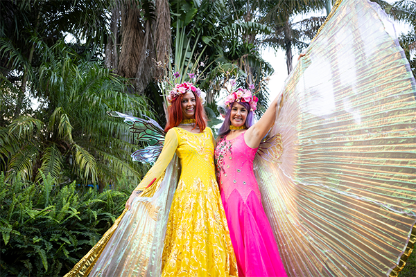 Two light up fairies
