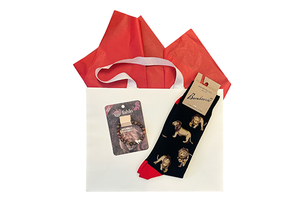 Father's Day gift bag containing lion socks and bracelet