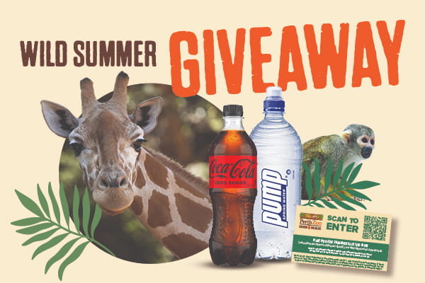 Coca-Cola Wild Summer Giveaway