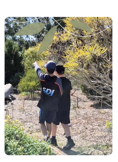 Habitats for Wildlife