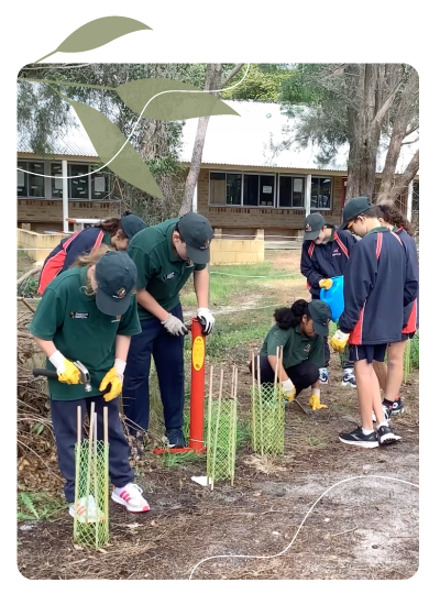 Habitats for Wildlife