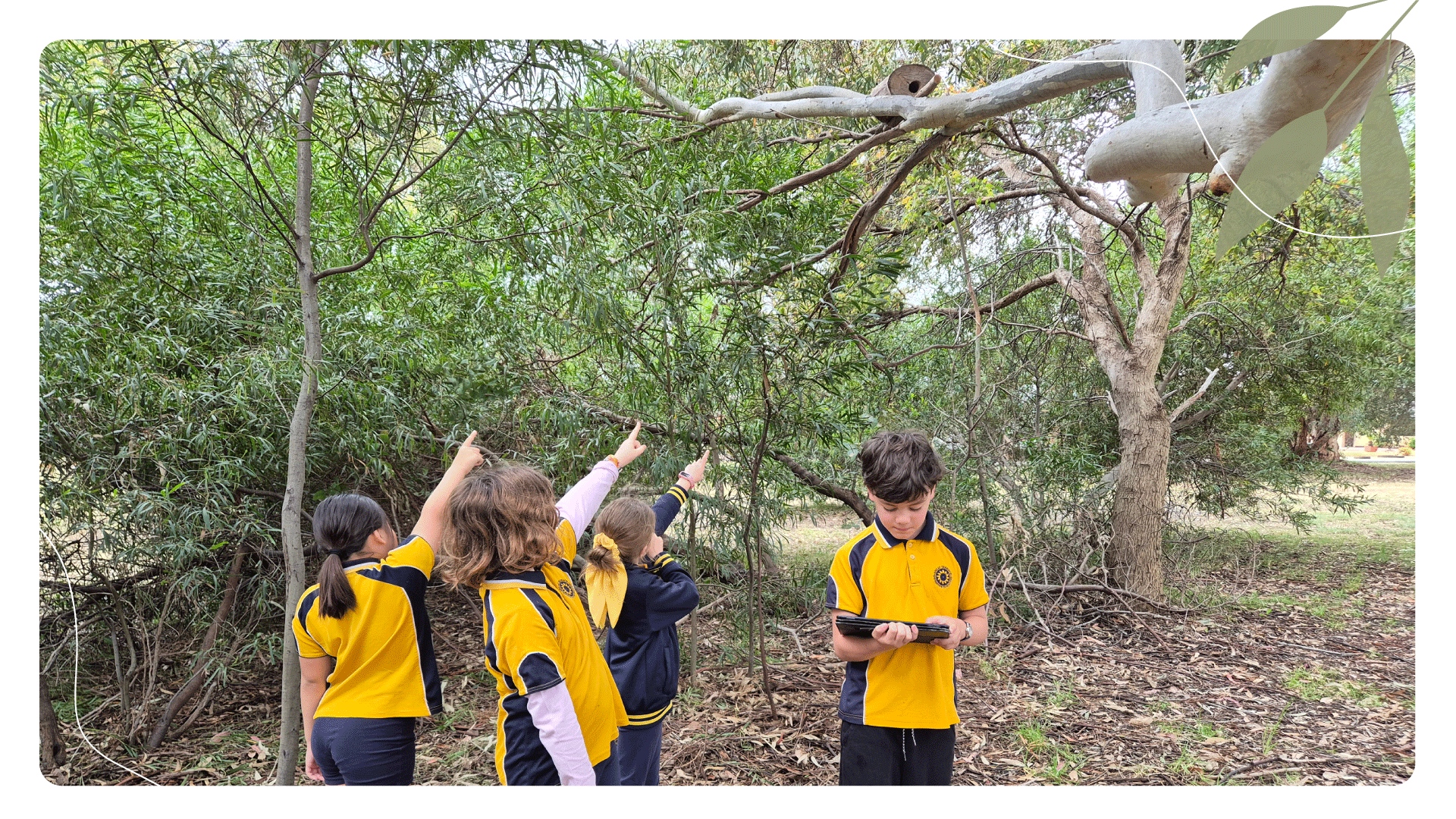 Habitats for Wildlife