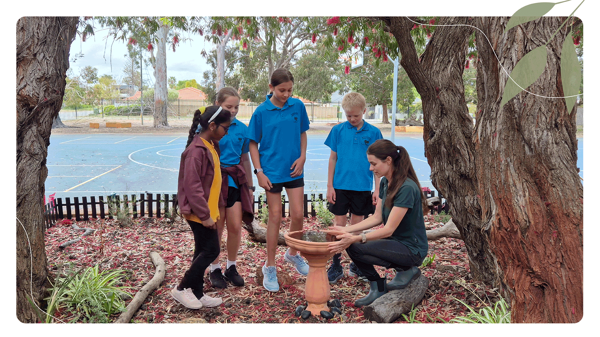 Habitats for Wildlife