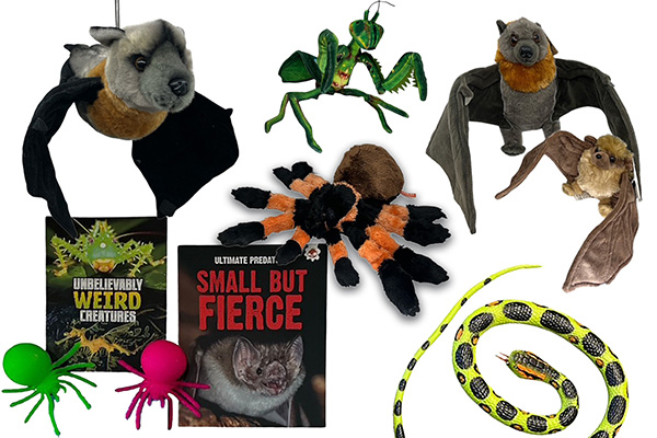 Perth Zoo halloween themed shop stand toys
