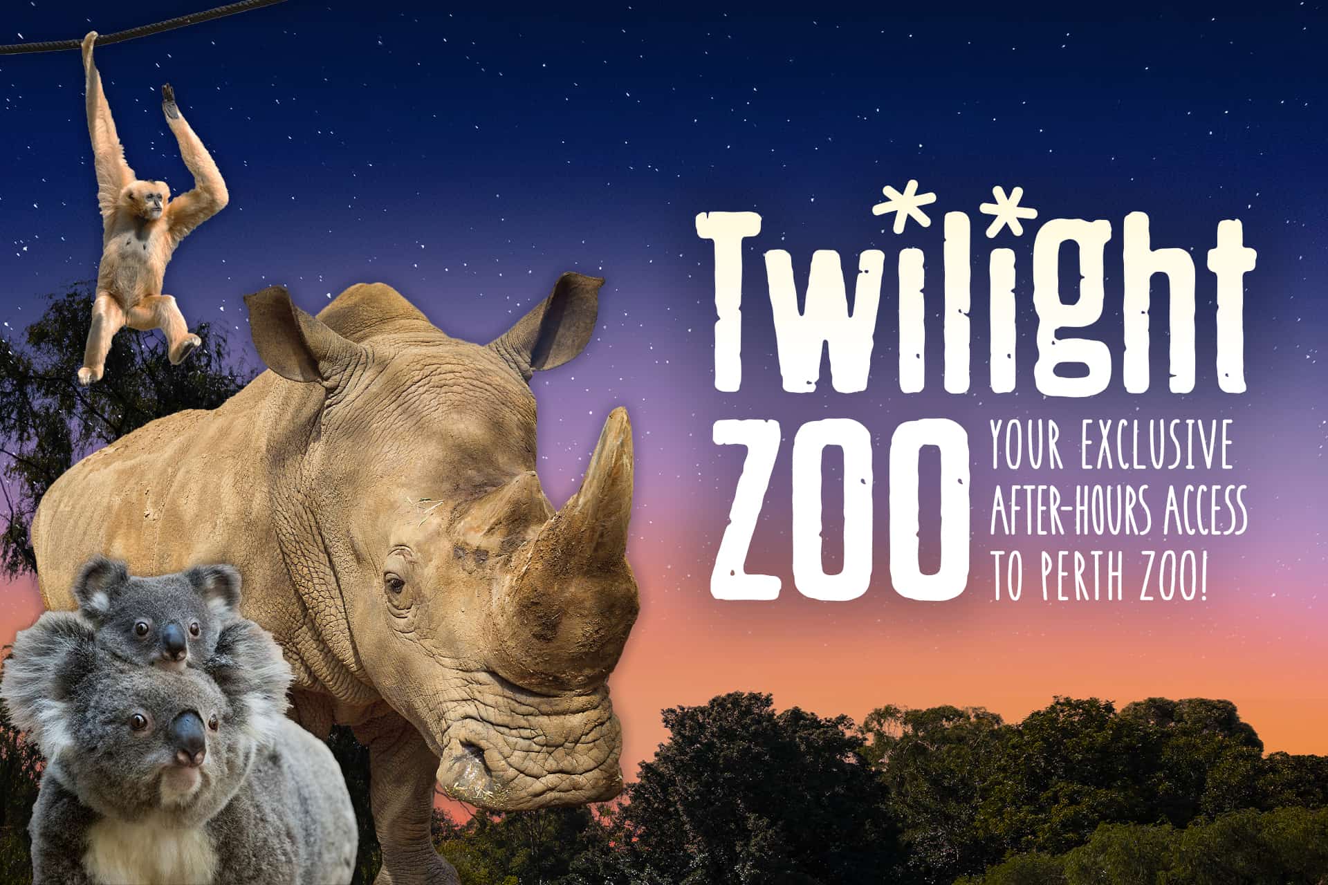 Perth Zoo animals at twilight