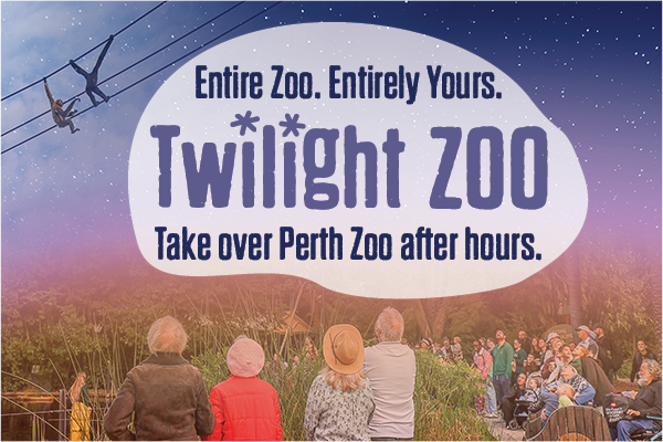 Perth Zoo animals at twilight
