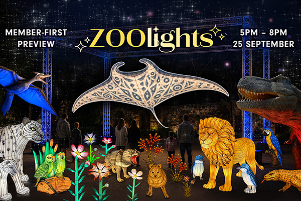 ZOOlights