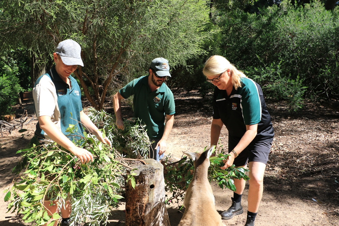 jobs where you take care of animals