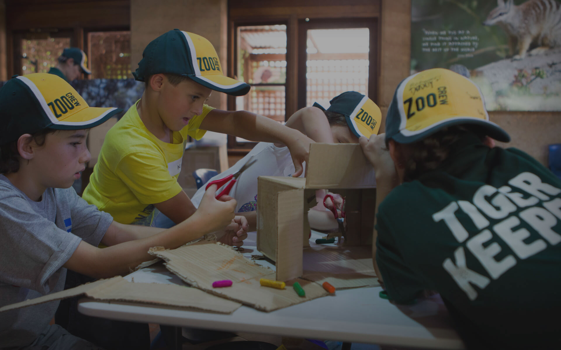 Zoo Crew | Perth Zoo