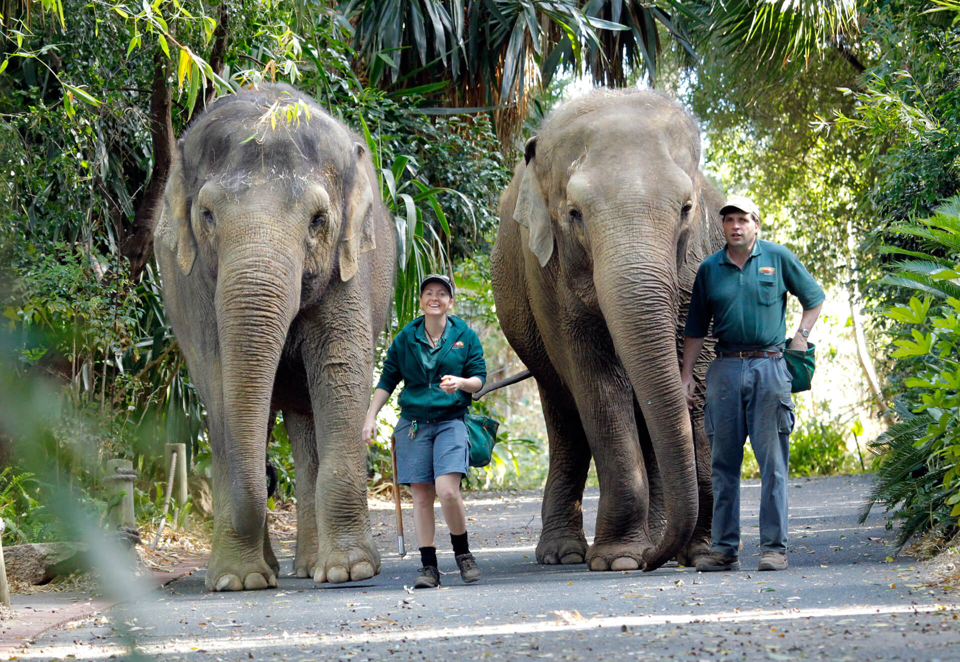 5 Careers That Help Animals (Zoo And Wildlife Edition)