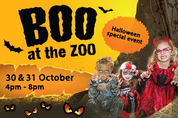 Boo at the Zoo Perth Zoo children in halloween costumes