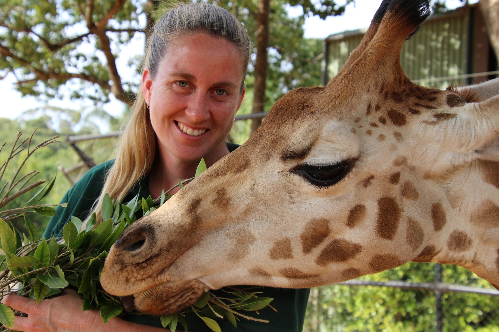 Perth Zoo Keeper Kaelene with a Giraffe