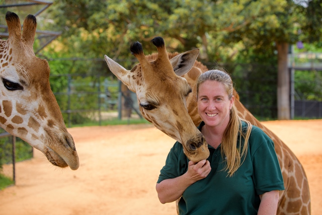An Update on Ellie the Giraffe | Perth Zoo