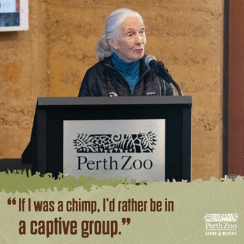 Scrollable-graphics-Jane-Goodall-1200x1200-3.jpg