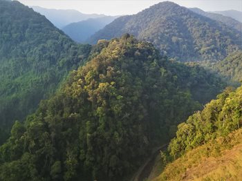 Pu-Mat-National-Park_Josh-Kempinski_Fauna-Flora.jpg