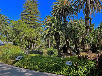 Main Lake at Perth Zoo showing the beautiful green surroundings and island where lemurs live.