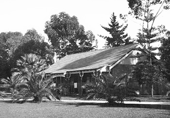 Photo of the Mineral Baths at Perth Zoo, taken in the 1920s, showing a row of Canary Island Date Palms