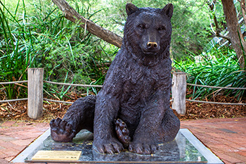 Wild About Babies sculpture of a Marsican Brown Bear