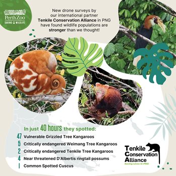 WorldWildlifeDay_social-tile_1200x1200_f.jpg WorldWildlifeDay_social-tile_1200x1200_f.jpg