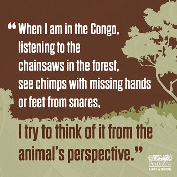 Scrollable-graphics-Jane-Goodall-1200x1200-2.jpg