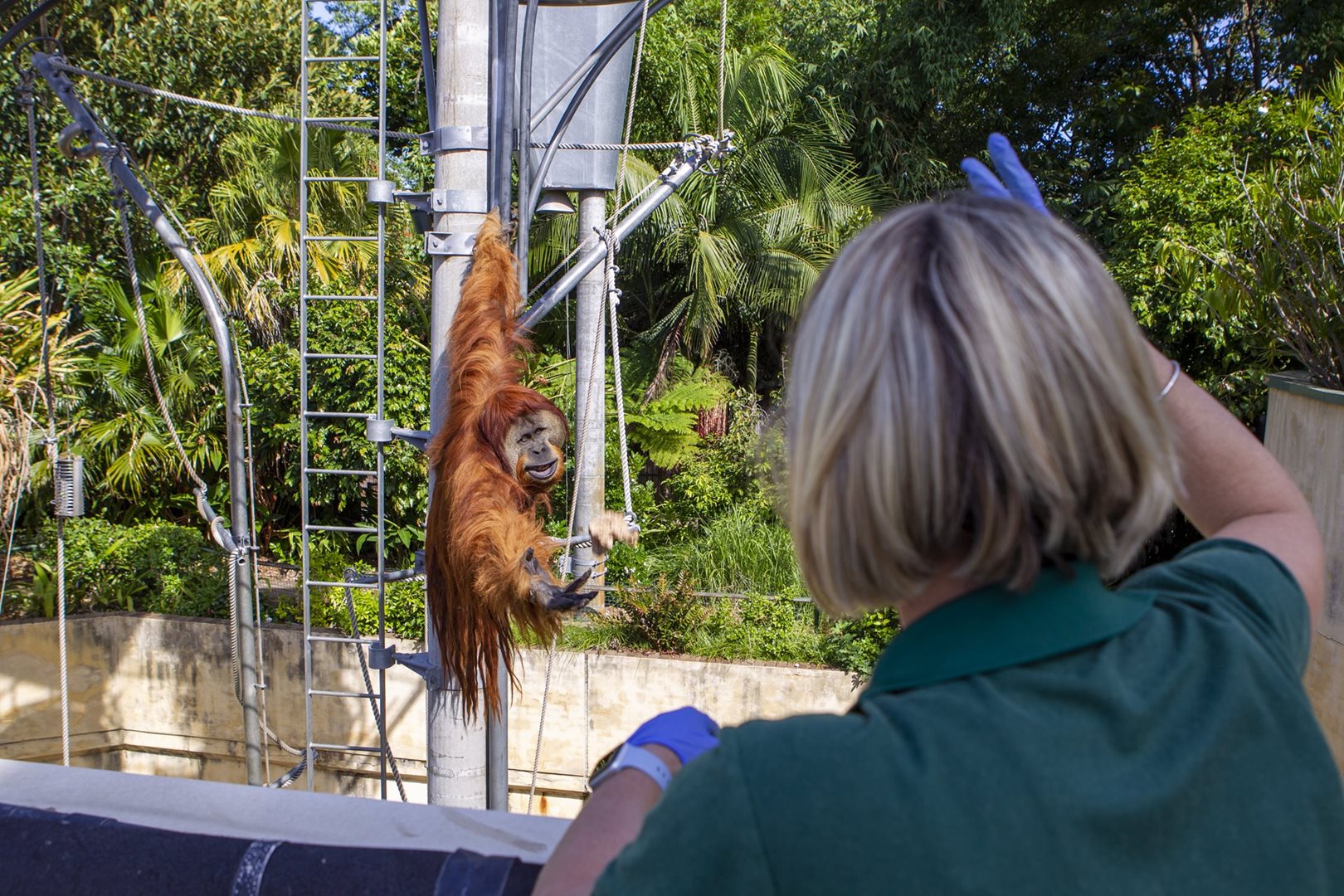 Keeper Careers | Perth Zoo