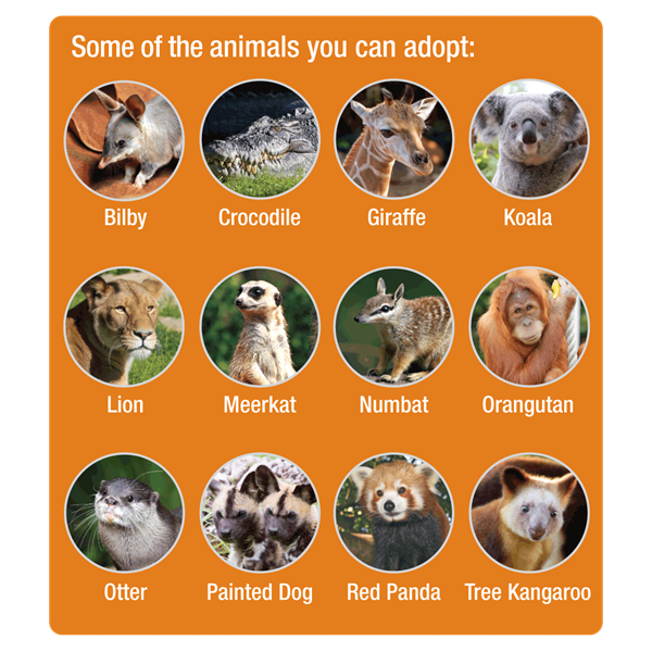 Image of animals